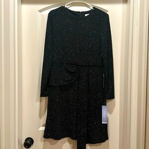 NWT Petite Sparkle Cocktail Dress, 10p